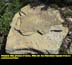 Fossil Rock